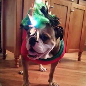 Meet your Posher, Amiee